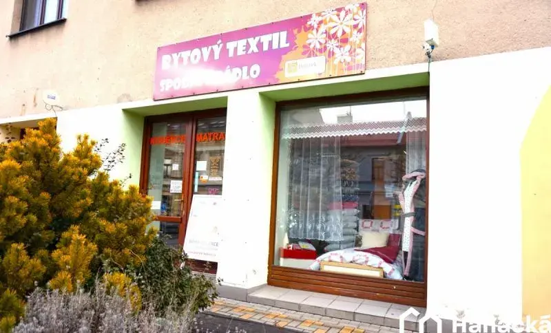 Prodej, Obchodní prostor, 47m2, Bystřice pod.