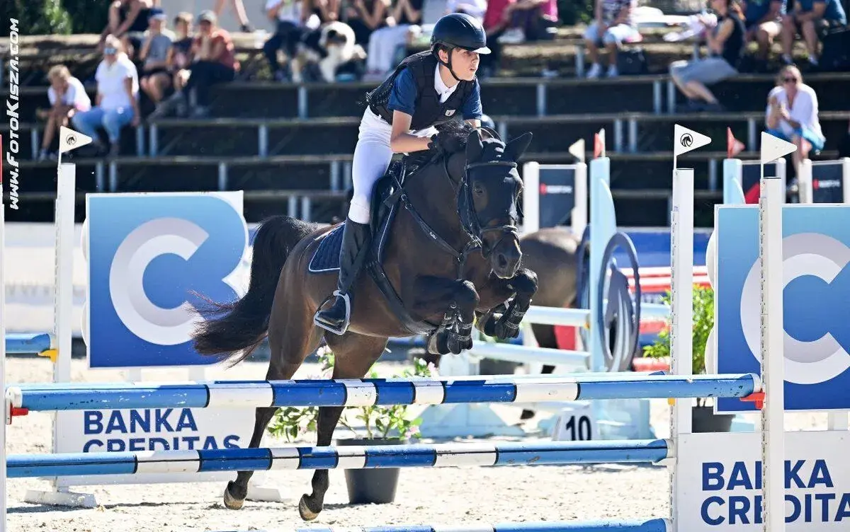 Klisna pony B do sportu