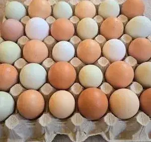 Domácí slepičí vejce