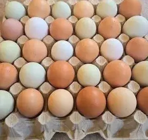 Domácí slepičí vejce