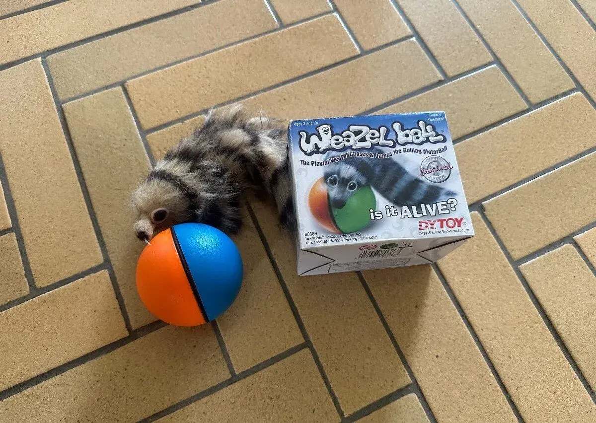 Hračka Weazel Ball – běhající fretka s míčkem