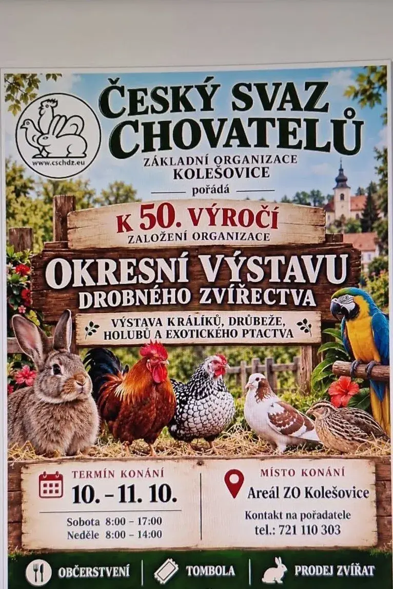 Výstava