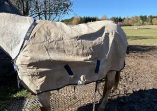 Bucas sun shower, 135cm