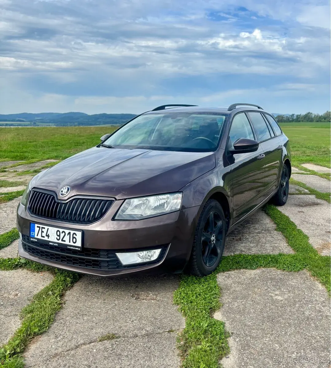 Škoda OCTAVIA – 2024, 100 km