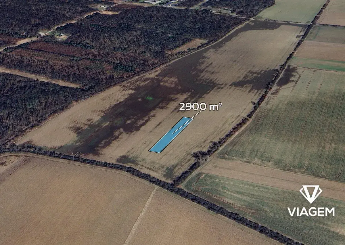 Pole 2 900 m², Podíl 58 % o výměře 1 692 m²