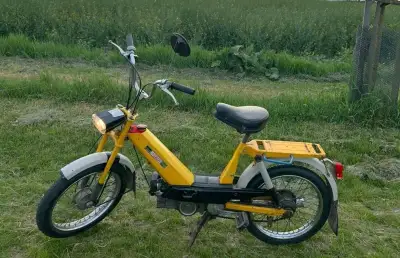 Babetta 207