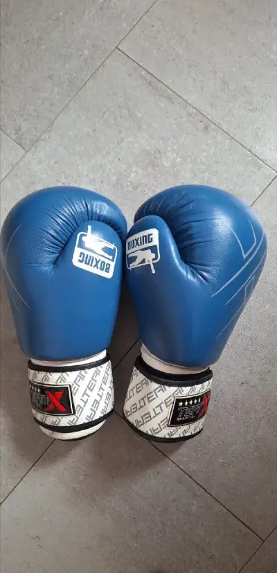 Boxerské rukavice Team X (14oz)