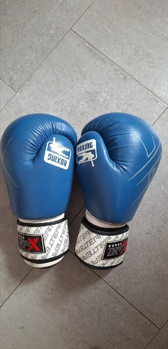 Boxerské rukavice Team X (14oz)