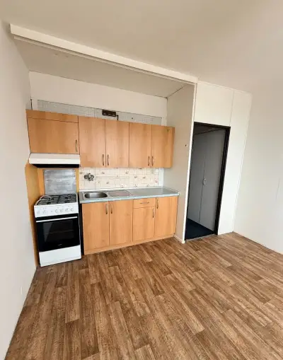 Pronájem bytu 1+1 36 m² Jirkovská, Chomutov
