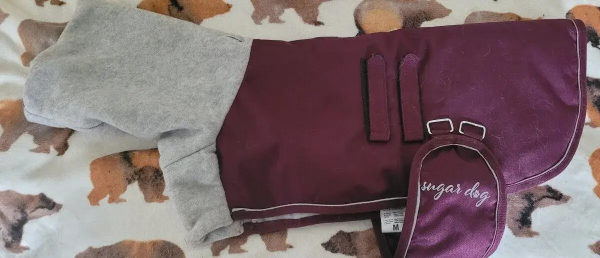 Dečka na psa - nová