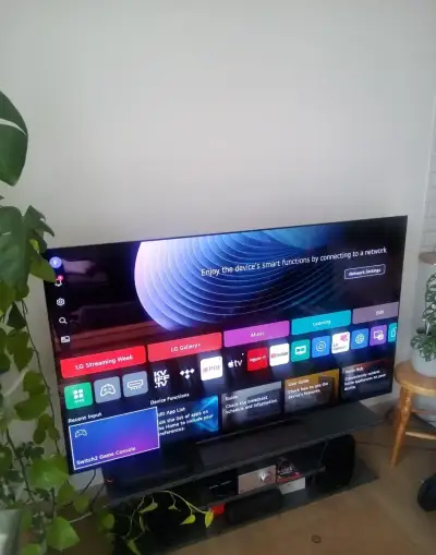 Televízor LG OLED65C56LB zaruka do 07/28