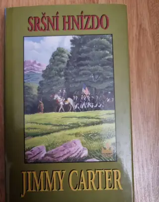 Sršní hnízdo