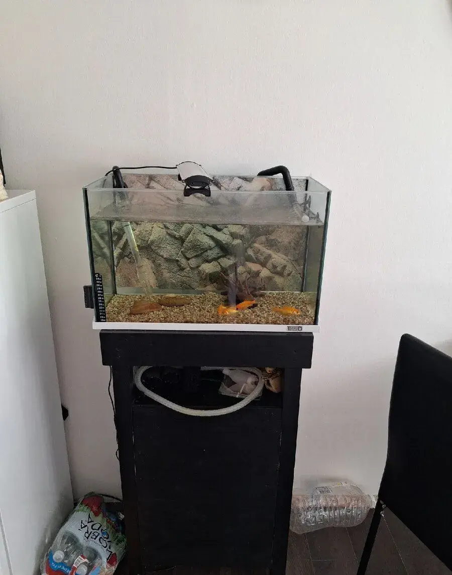 Akvarium s vybavou