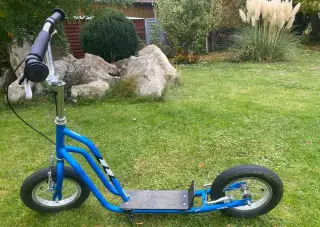 Koloběžka YEDOO WZOOM 12”
