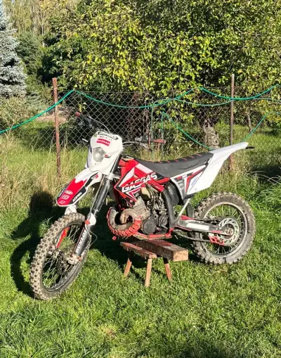 Gas Gas EC 300