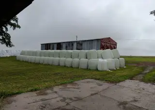 Siláž