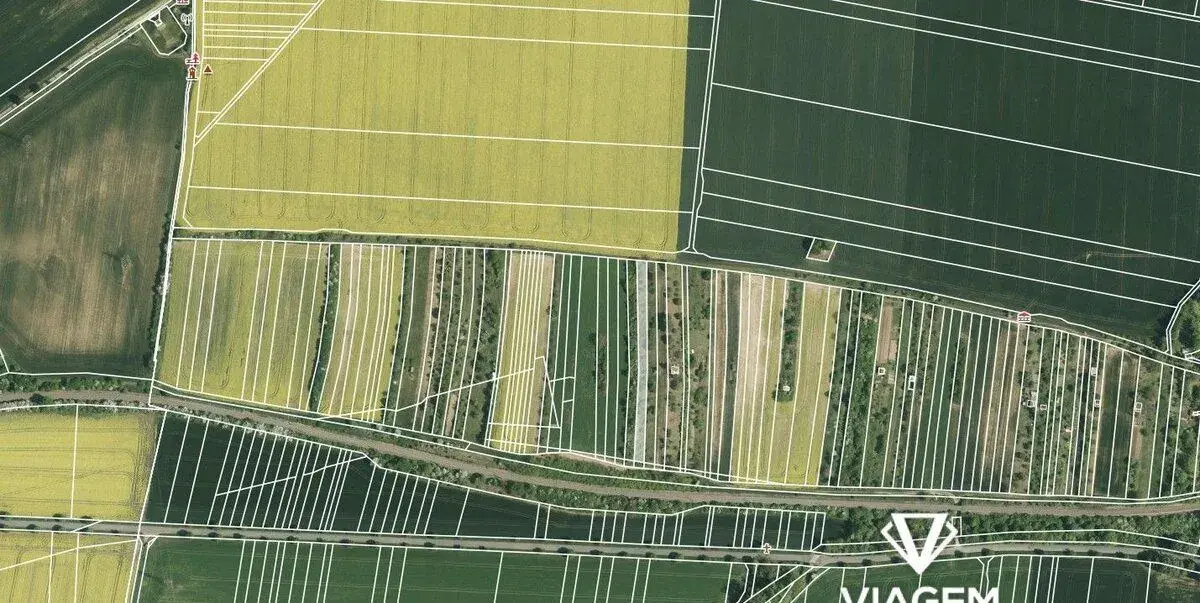 Zahrada 1 593 m²