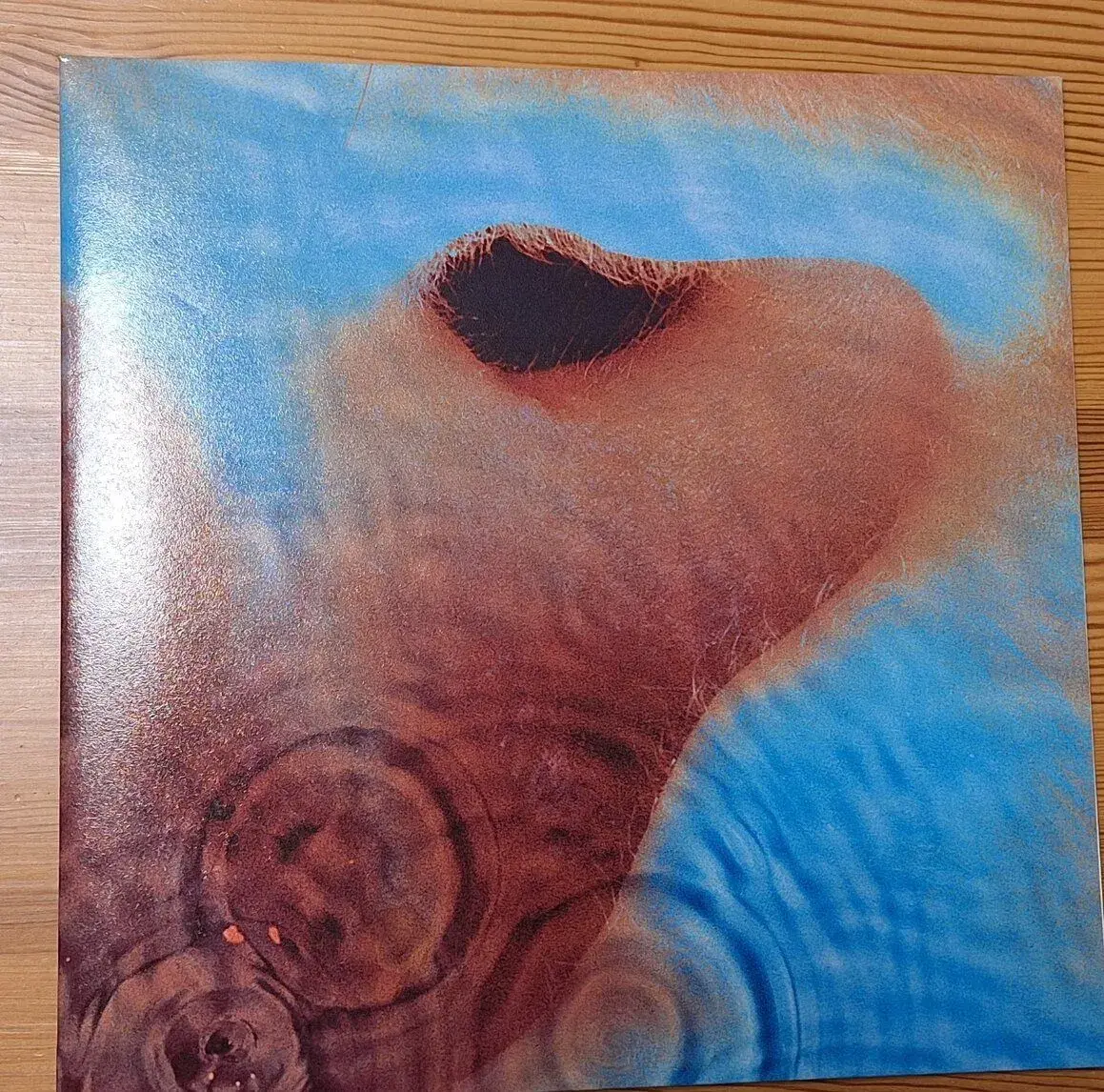 Pink Floyd – Meddle