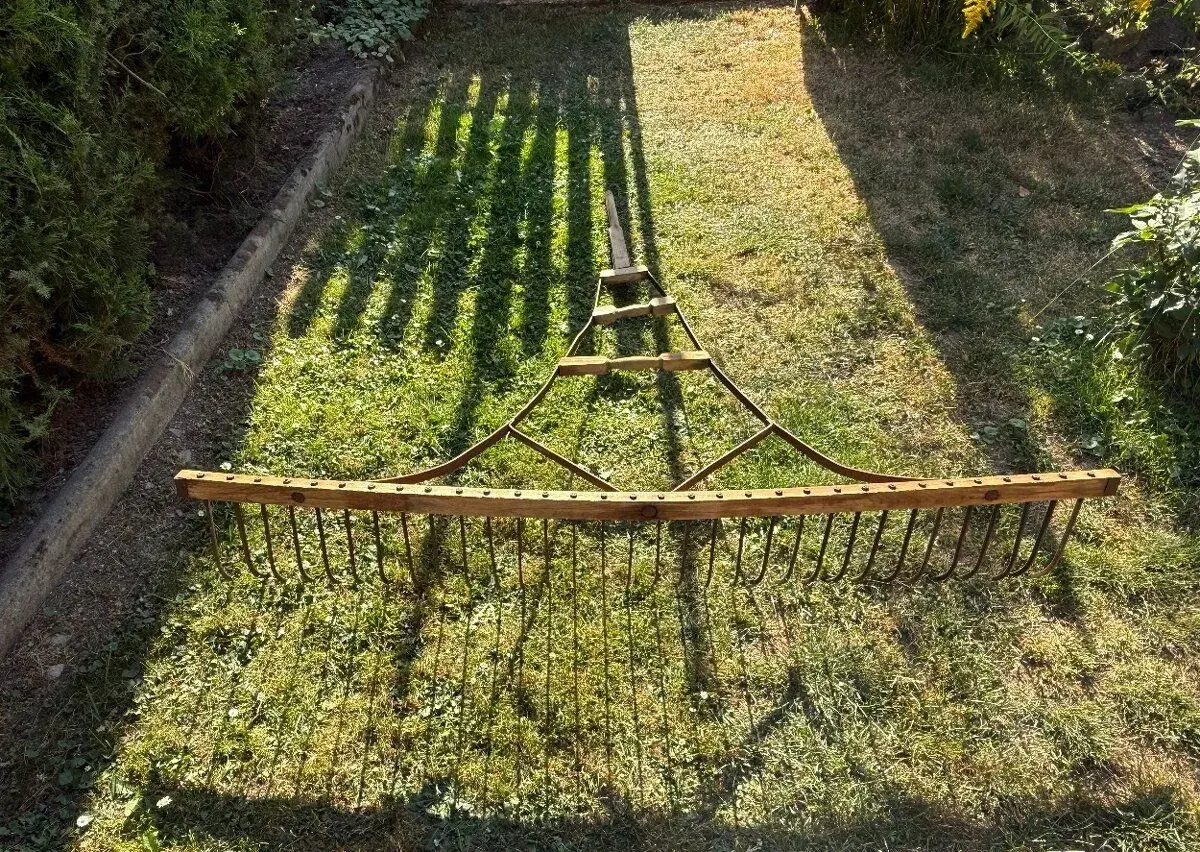 Hrábě