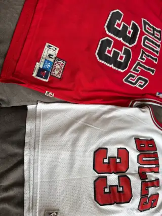 Scottie Pippen Chicago Bulls nba Adidas Nike basketball