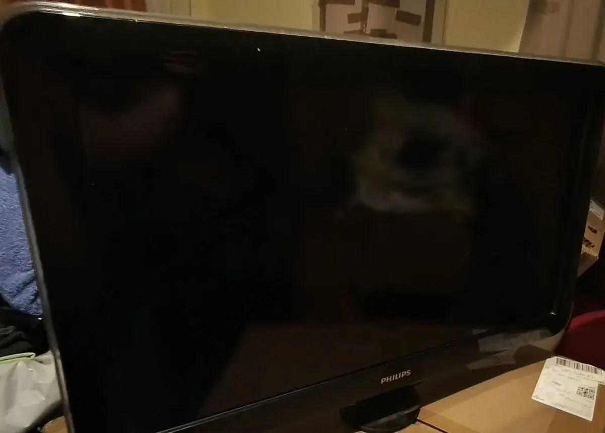Full HD LCD televize Philips 32" (81 cm) – funkční, včetně