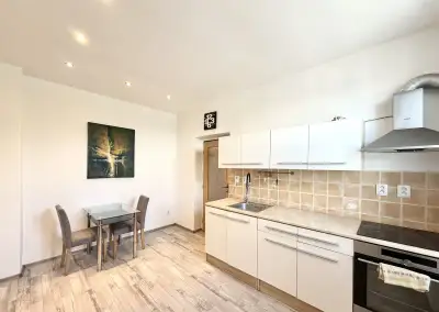 Pronájem bytu 1+1, V Horkách, Liberec, 12000 Kč/měs, 40 m2