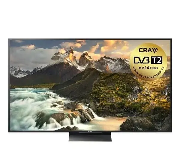 Sony KD-65ZD9 černá 169CM