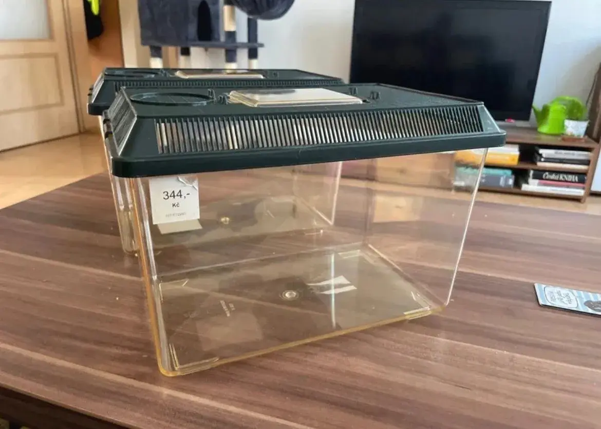 Terarijní boxy