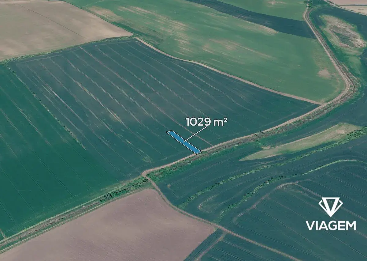 Pole 1 029 m², Podíl 33 % o výměře 343 m²
