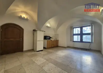 Pronájem bytu 2+1 80 m² na náměstí Přemysla Otakara II , Čes