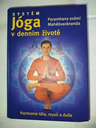 Systém Jóga v denním životě