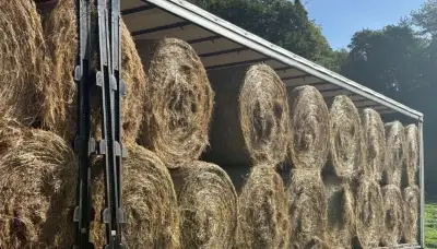 Balíky sena okolí Brna 1700 včetně dopravy