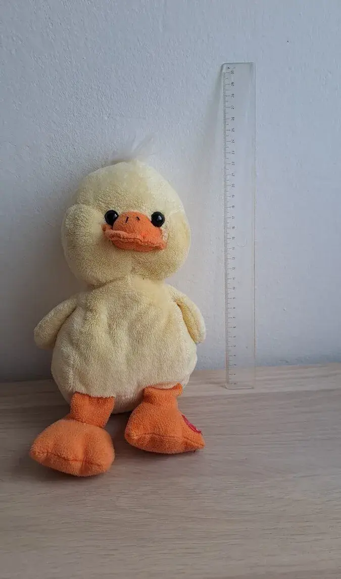 Plyšová zvuková Kačenka.
