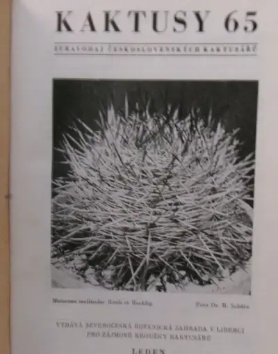 Kaktusy 1965 - 1974 - kompletní ročníky.