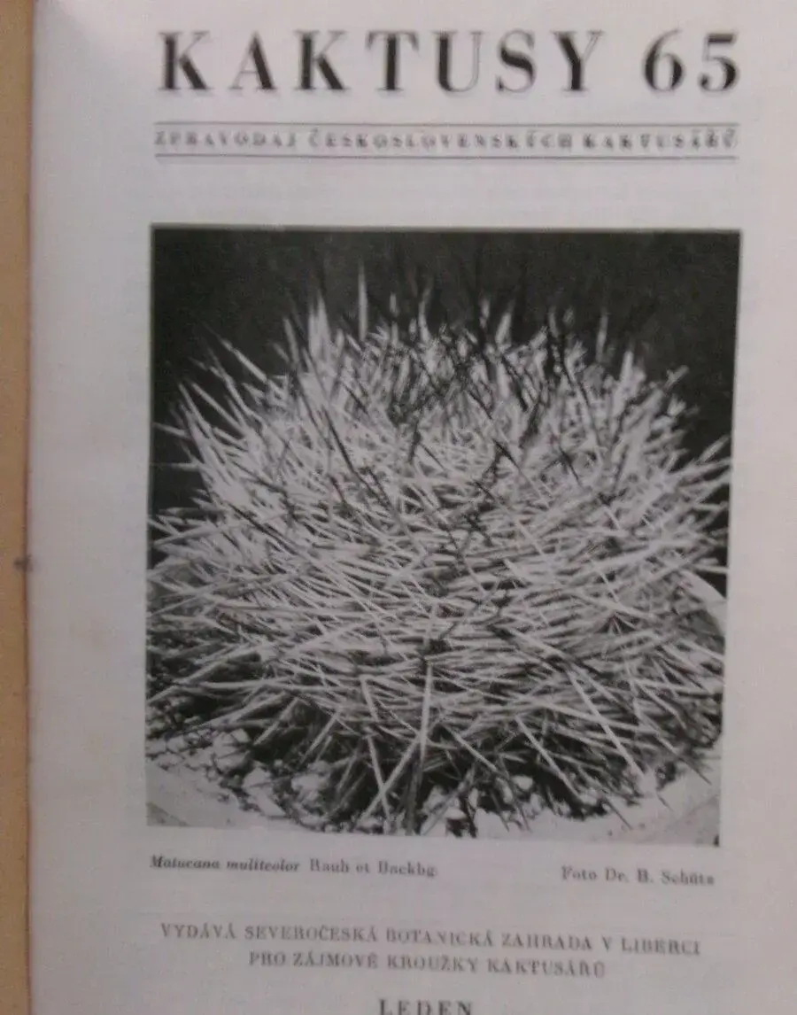 Kaktusy 1965 - 1974 - kompletní ročníky.
