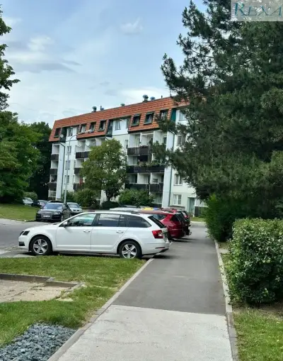 Brno Kohoutovice, Bellova, byt 4KK u lesa, terasa