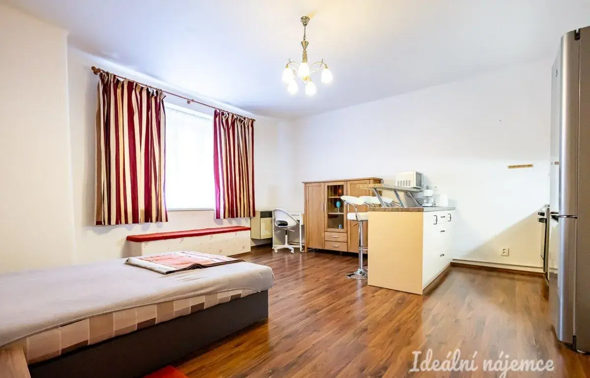 Pronájem bytu 1+kk, Viklefova, Žižkov, 19 900 Kč/měs, 38 m2