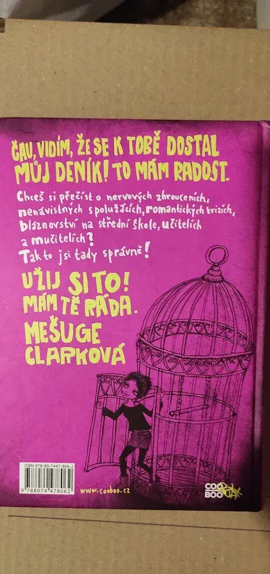 Deníček Šílený holky