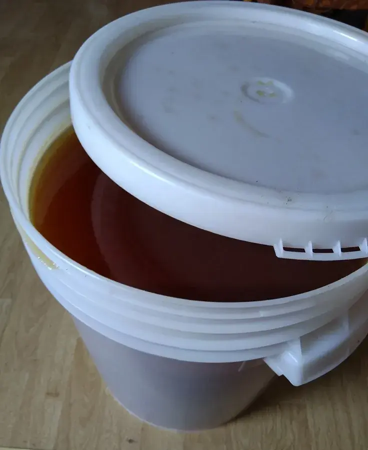 🍯 Na prodej: kvalitní český medovicový med ve 45kg sudech