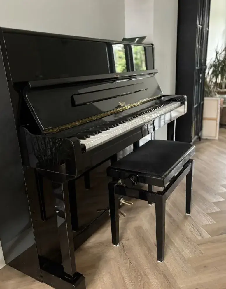 Černé piano Rösler 118 - Petrof r.v. 2004