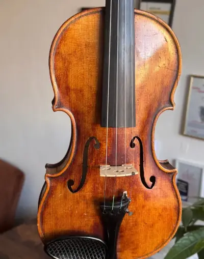 Krásné housle 4/4