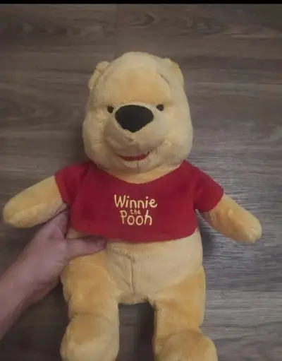 Medvídek Pú plyšák