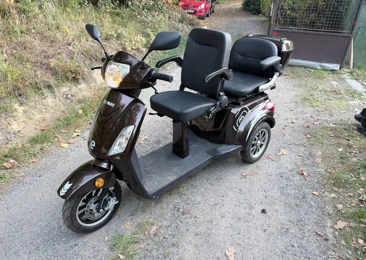 Elektrická tříkolka VIGOROUS T408-1 (pro 2 osoby)