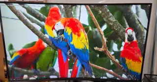 Samsung C32JG54 – 32" QHD 144 Hz, zakřivený herní monitor
