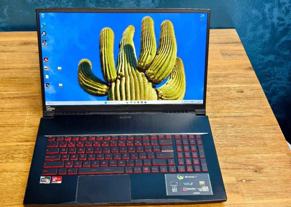17.3" 144Hz, 8jádro Ryzen 7 4800H, RX5500 4GB, SSD+HDD