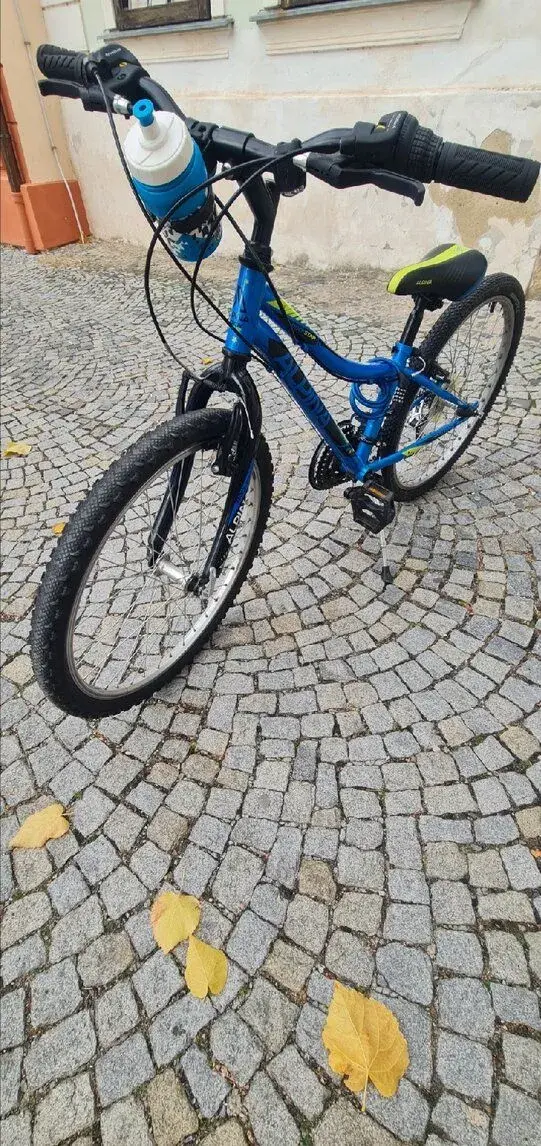 Dětské/Juniorské kolo Alpina Rockstar 10 (24") – top stav