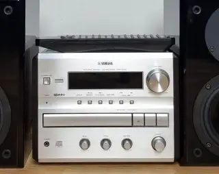 YAMAHA CRX-E300
