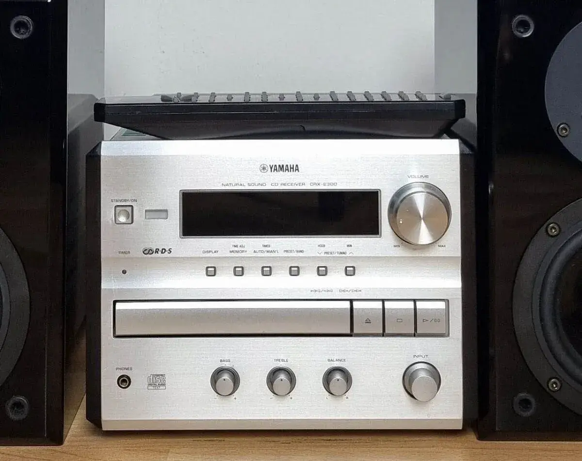 YAMAHA CRX-E300