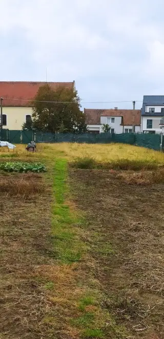 Pronájem pozemku