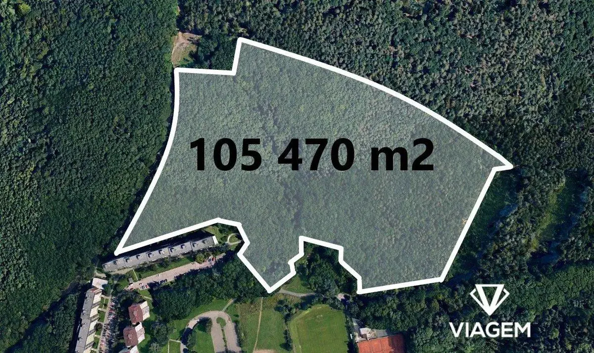 Les 105 470 m², Podíl 6 % o výměře 6 592 m²